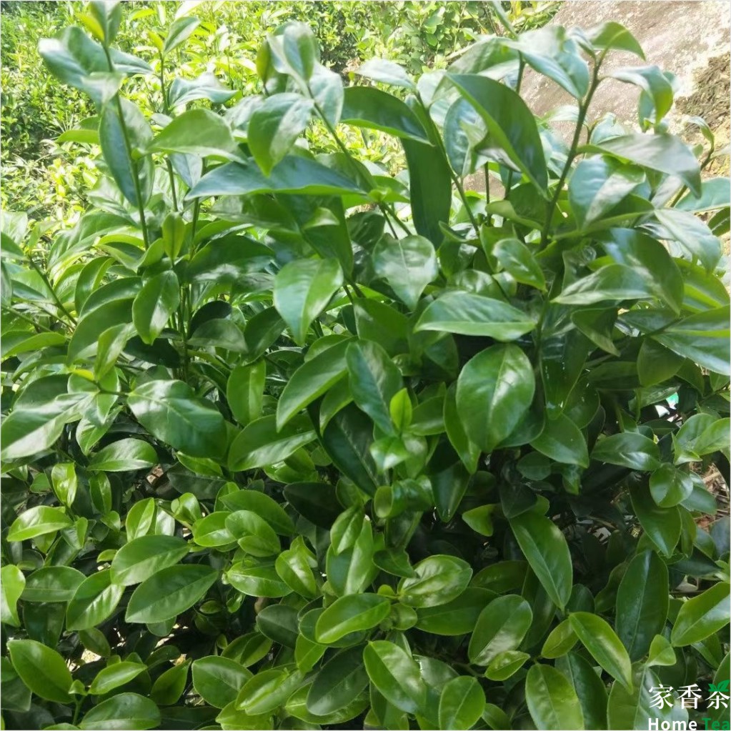 1712328231161697.jpg 1712328231161697.jpg