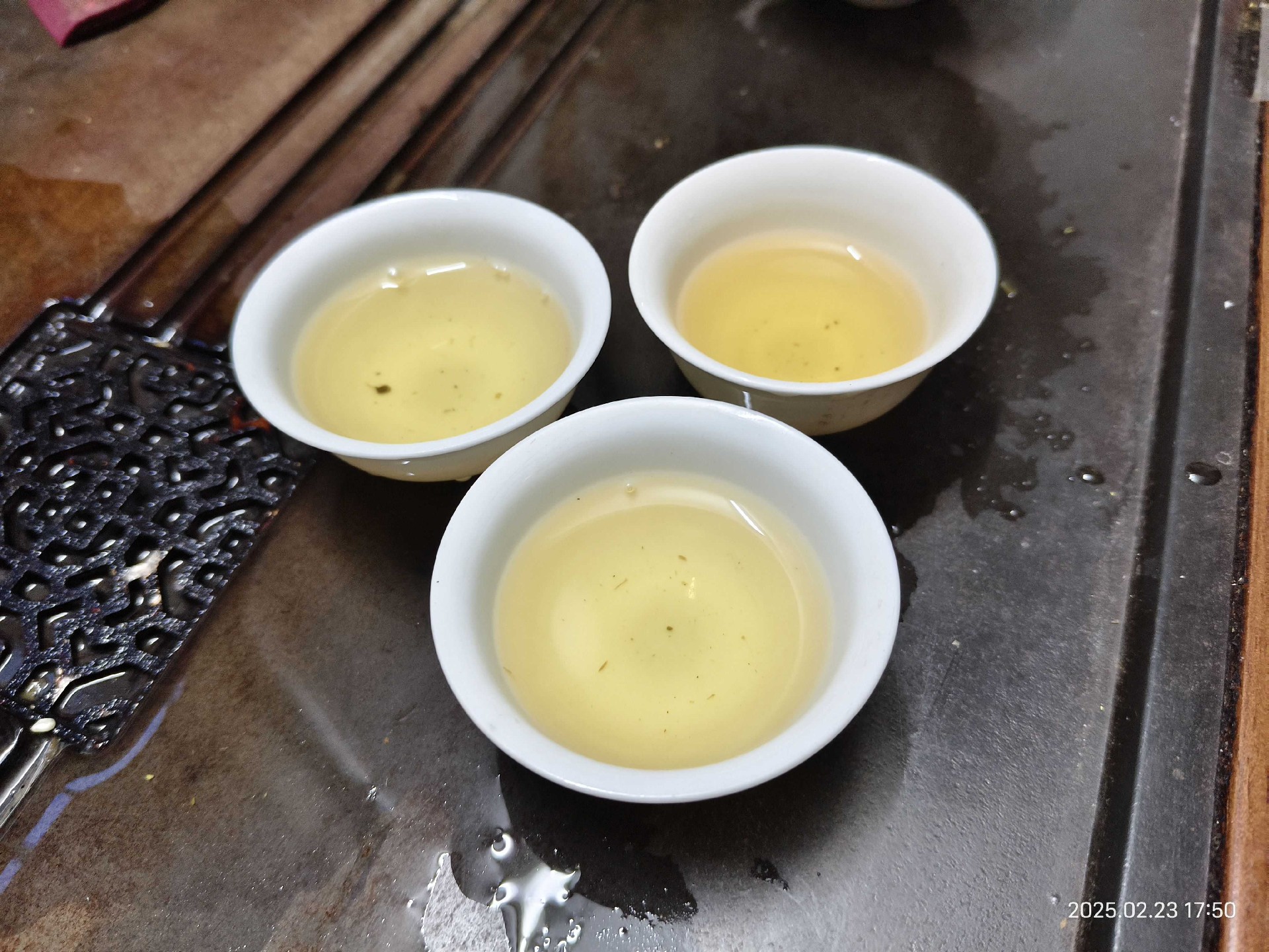 2025春蜜兰香 新茶试喝.jpg